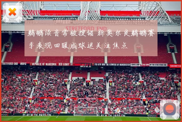 鹈鹕读音常被搜错 新奥尔良鹈鹕赛季表现回暖成球迷关注焦点