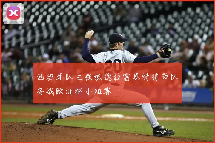 西班牙队主教练德拉富恩特将带队备战欧洲杯小组赛