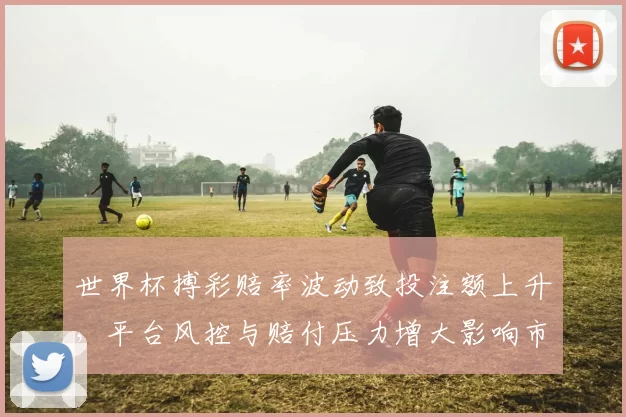 世界杯搏彩赔率波动致投注额上升，平台风控与赔付压力增大影响市场稳定