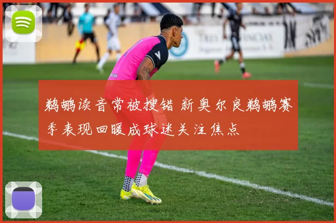 鹈鹕读音常被搜错 新奥尔良鹈鹕赛季表现回暖成球迷关注焦点