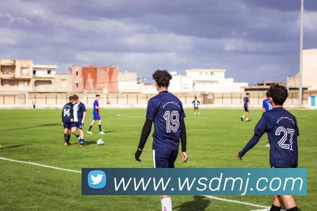 南宫体育 - 追求健康，你我一起成长平台生态图